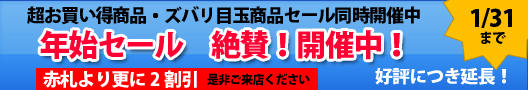 �Ζ��N�n�Z�[����^�J�Ò��B�ԎD���X��2�������B