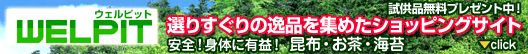 �I�肷����̈�i�Ȃ�C���^�[�l�b�g�V���b�s���O�@�E�F���s�b�g��
